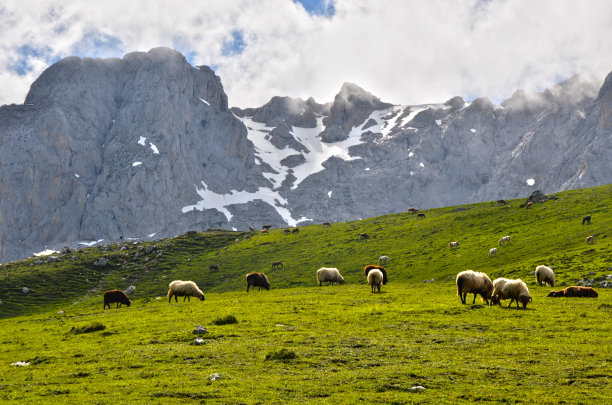 源电报图片下载