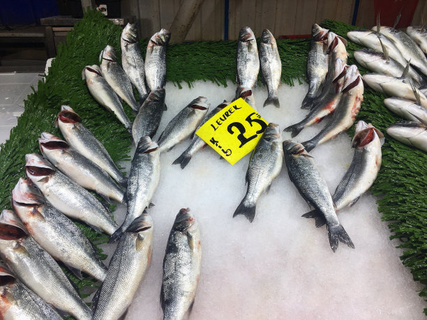 各种各样的鱼和“鲈鱼”写在鱼店的标签上。图片下载