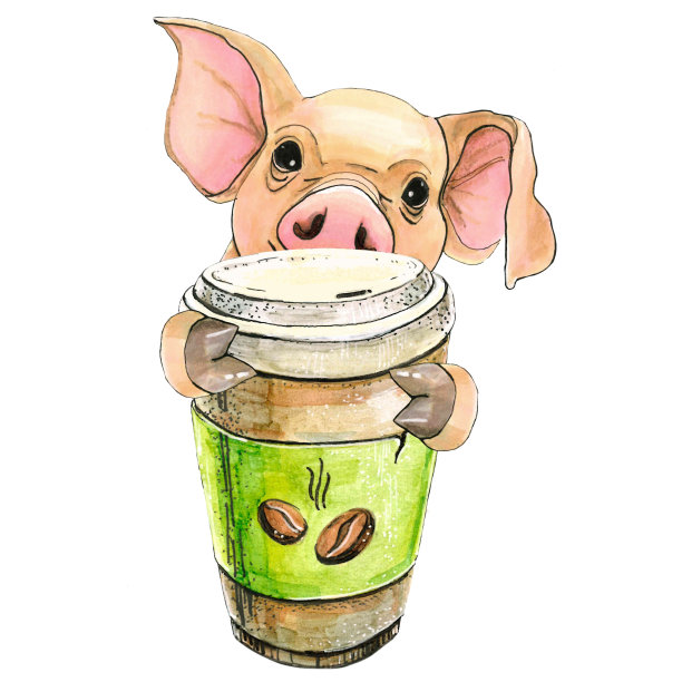 小猪喝咖啡。孤立在白色背景上。图片下载