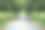 步行道之间的绿树在城市公园图片下载