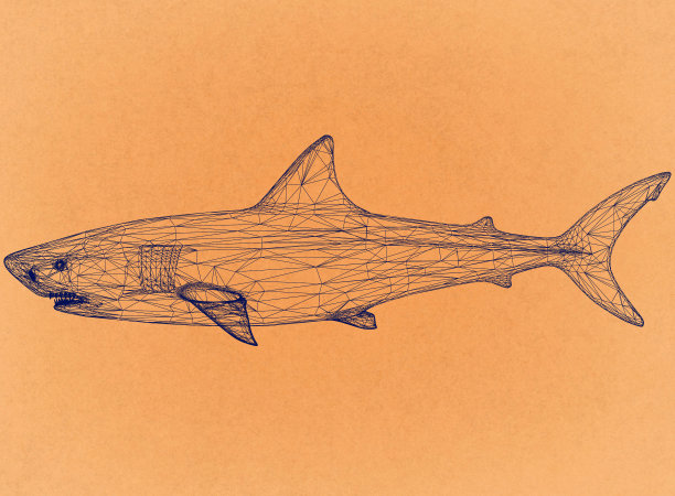 白鲨-复古建筑师蓝图图片下载