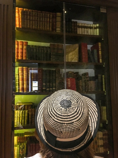 看旧书的女人图片下载