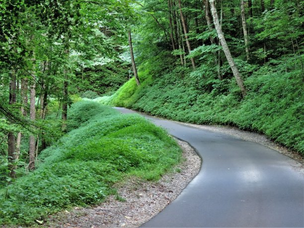 未来之路图片下载