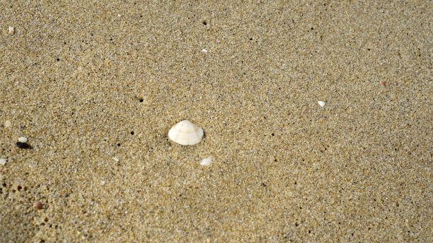 海滩沙质底图片下载