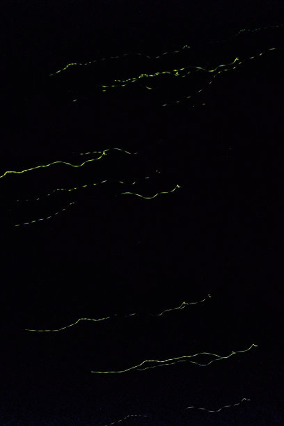 萤火虫在夜晚创造的抽象有趣的线条图片下载