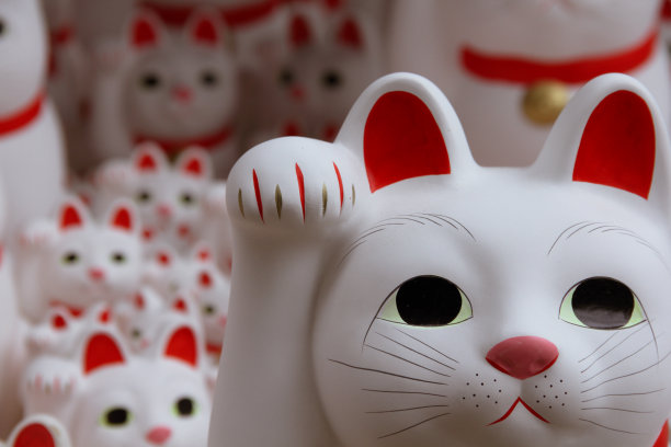 日本人给猫带来好运图片下载