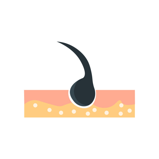 表皮图标向量符号和符号孤立在白色背景上，表皮标志概念图片下载