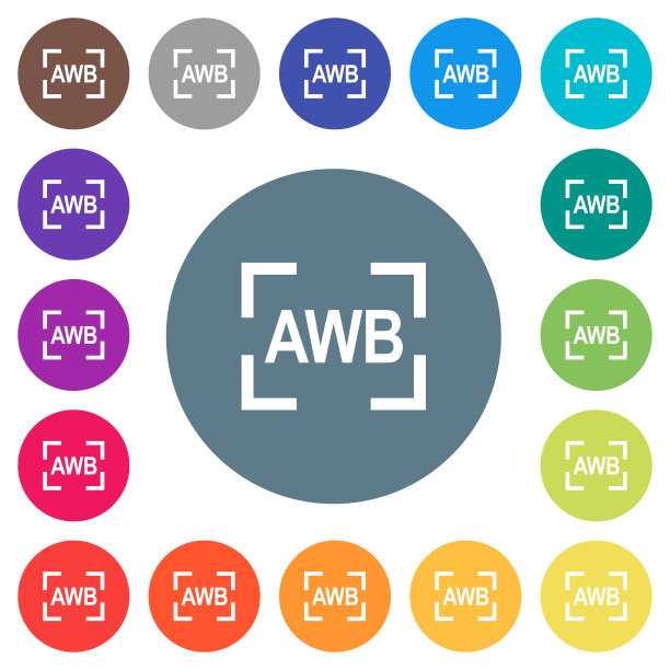 相机自动白平衡模式下的圆形背景上的白色图标图片下载