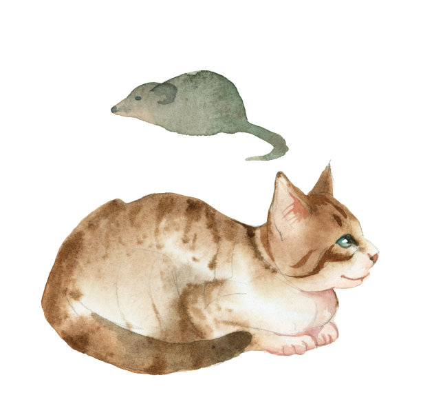 水彩插图孤立的白色背景。棕色的猫和灰色的老鼠坐在一起图片下载