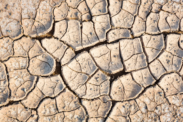 干旱的纹理图片下载