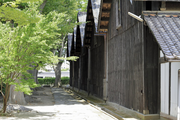 日本山形坂田三共仓库及泽尔科娃树图片下载