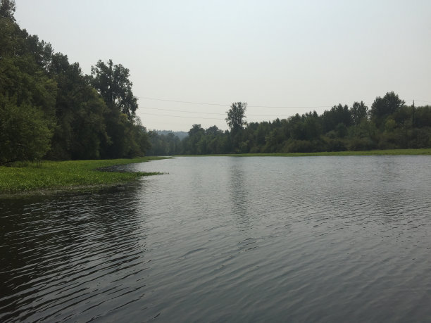 公园湖图片下载