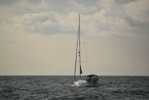 快艇在黎明时启航图片下载