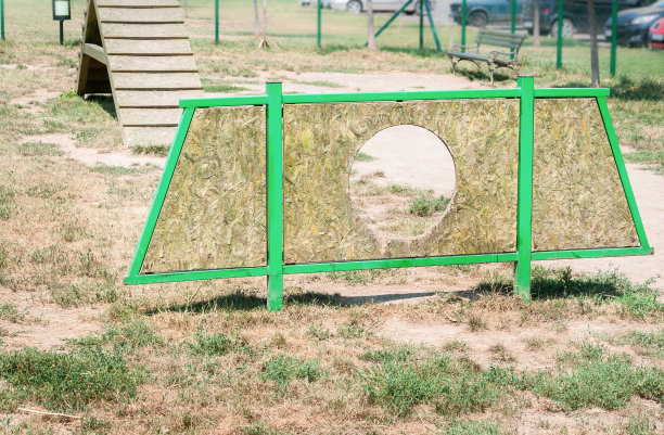 户外木制障碍训练和盛装舞步的狗为军事或警察图片下载