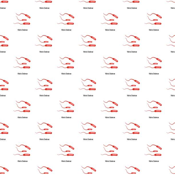 霍乱弧菌模式无缝图片下载