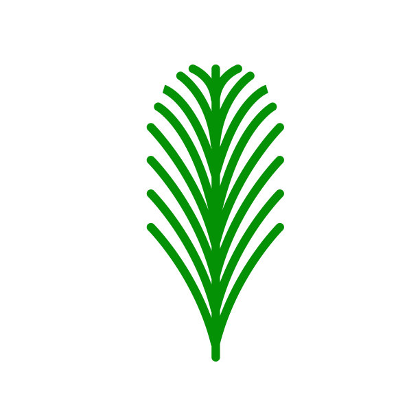 紫杉叶图标矢量标志和符号孤立在白色背景，紫杉叶标志概念图片下载