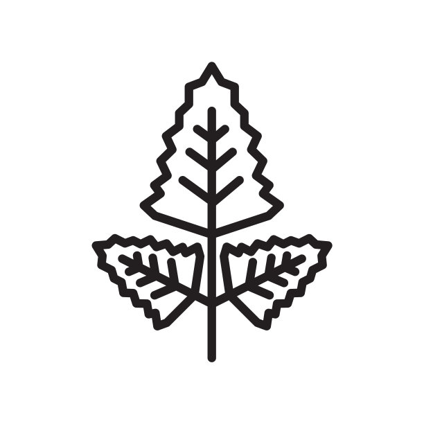 菱形图标矢量符号和符号孤立在白色背景上，菱形标志的概念图片下载