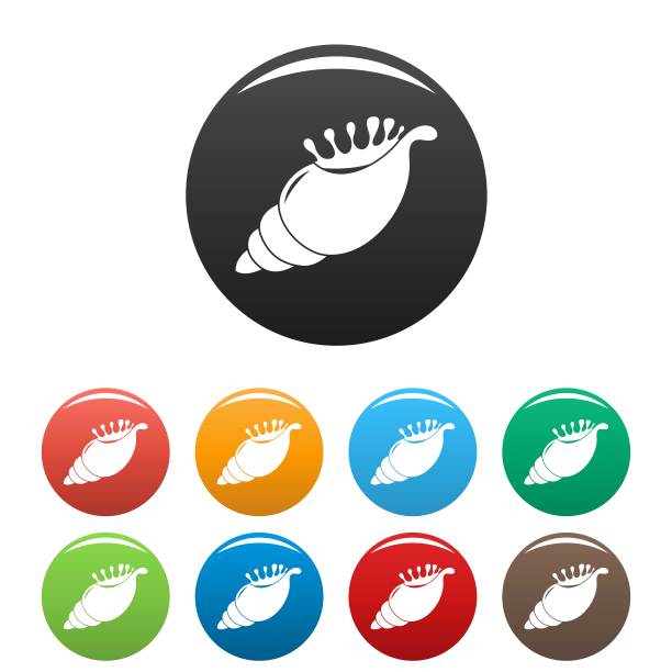 奇异的外壳图标设置颜色向量图片下载