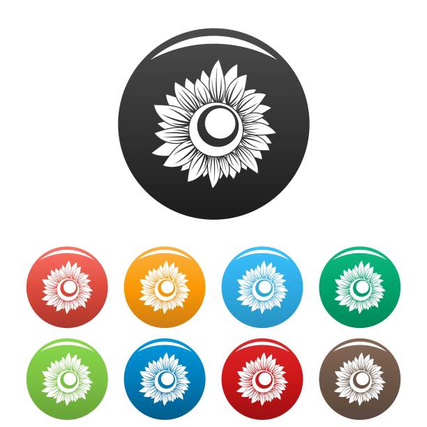 高大的向日葵图标设置颜色向量图片下载