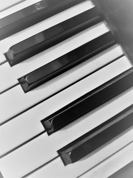 钢琴键背景。黑白照片。图片下载