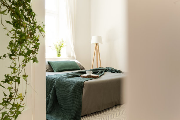 绿色的毯子和枕头放在灰色的床上，卧室里有灯和植物。真实的照片图片下载