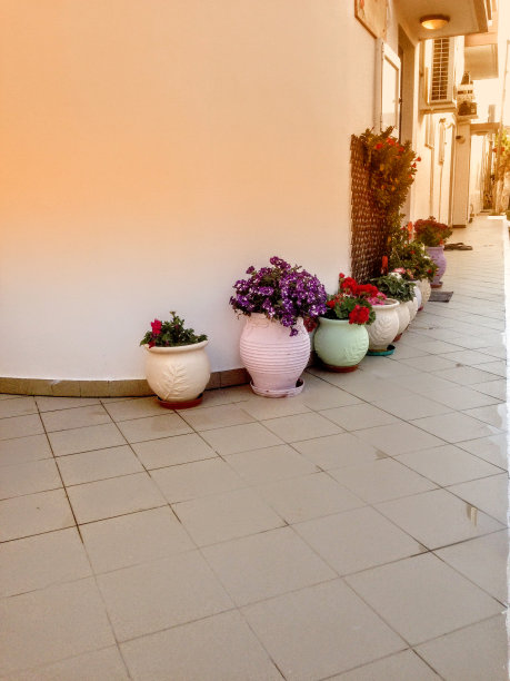 Palaiochora的一所房子外面摆放着花盆图片下载