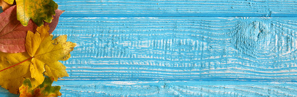 秋天的树叶和橡子在老绿松石木制的背景与空的空间，边界设计全景横幅图片下载