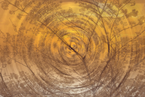 抽象的自然背景。图片下载