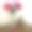 玻璃花瓶里装着福罗克斯的静物画，还有黄铜衬布的淑女钟图片下载