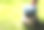 孩子们的脚穿可爱的拖鞋换上旧球图片下载