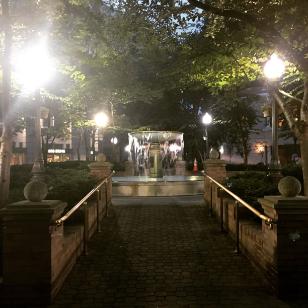 晚上的Ballston庭院图片下载