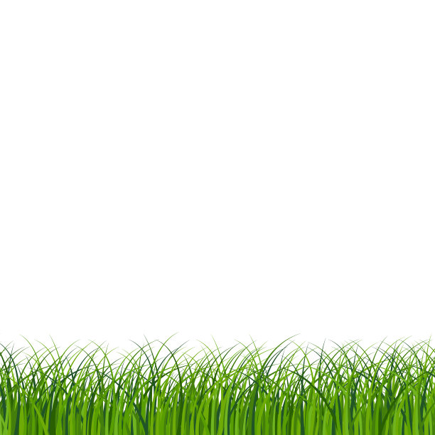 美丽的绿色草的碎片孤立在白色，矢量插图图片下载