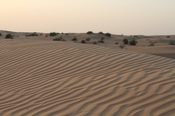 沙漠中的傍晚：沙丘图片下载
