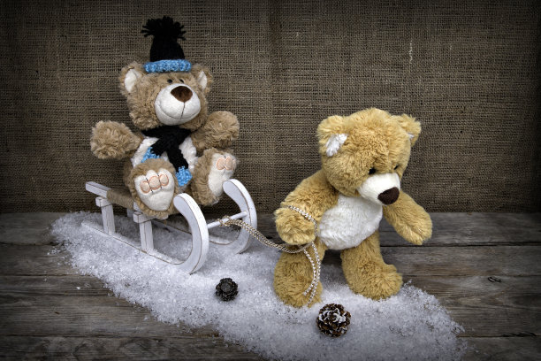 你好，Teddy图片下载