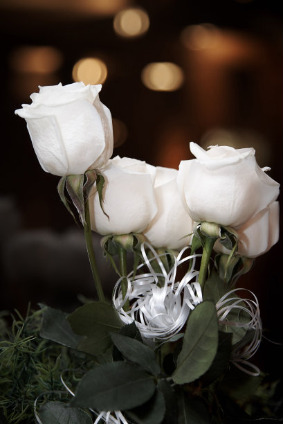 一束白玫瑰在一个黑色模糊的背景与散焦。图片下载