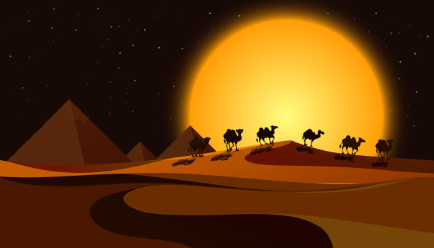 金字塔夜景图片下载