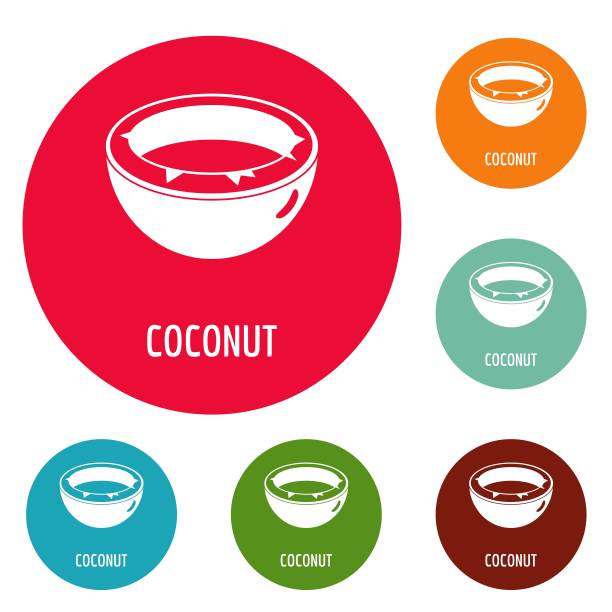 椰子图标圆设置矢量图片下载