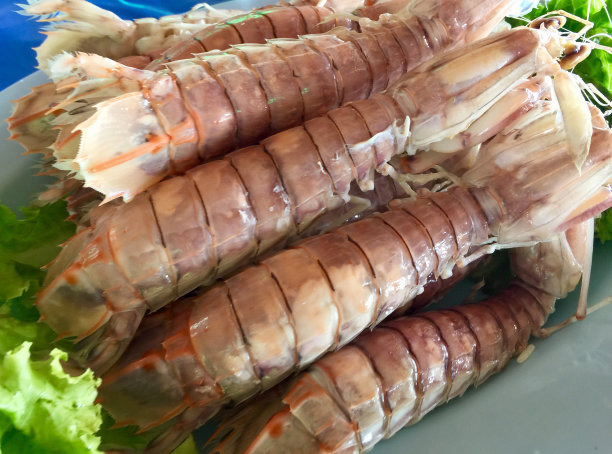 蒸虾蛄图片下载