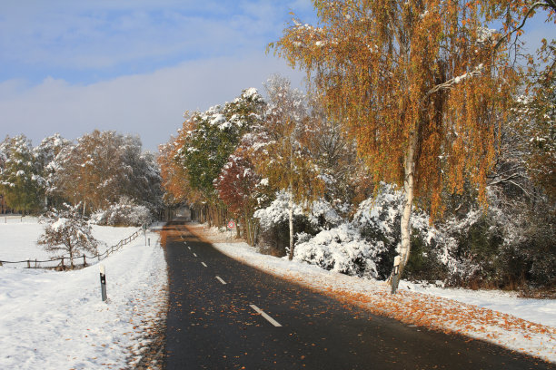温特兰沙夫特图片下载