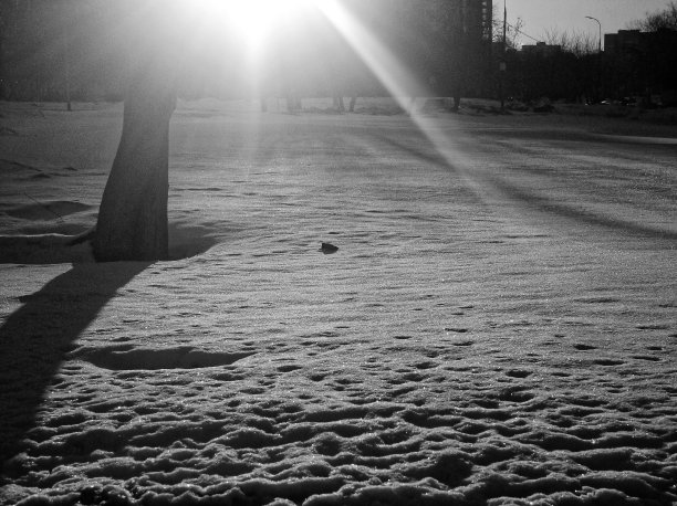 黑白风景的莫斯科在雪地里图片下载