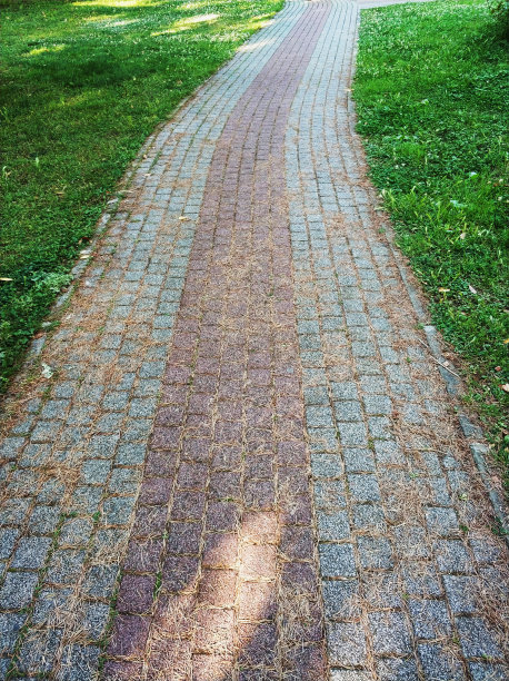 公园里的小路图片下载