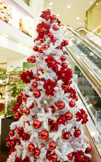 圣诞树图片下载