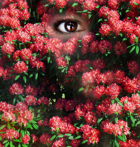 女人的人花图片下载