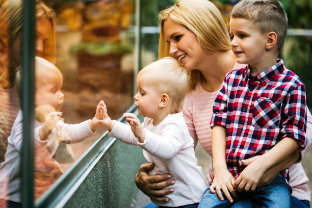 母亲带着小女孩和小男孩透过商店橱窗往外看图片下载