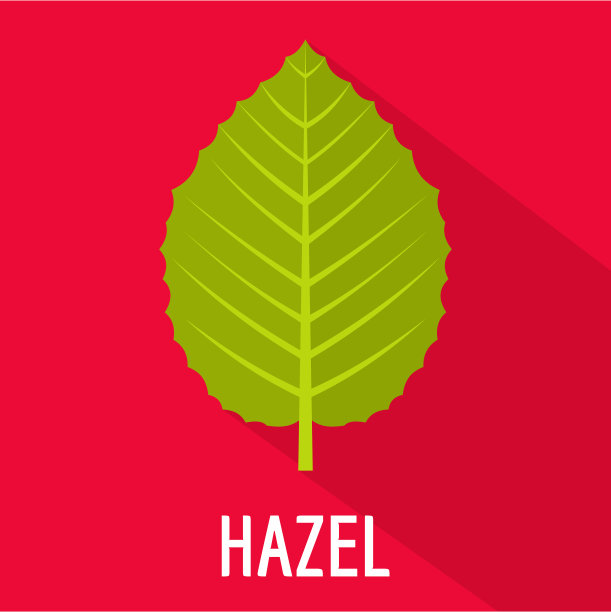 榛叶图标，扁平风格图片下载