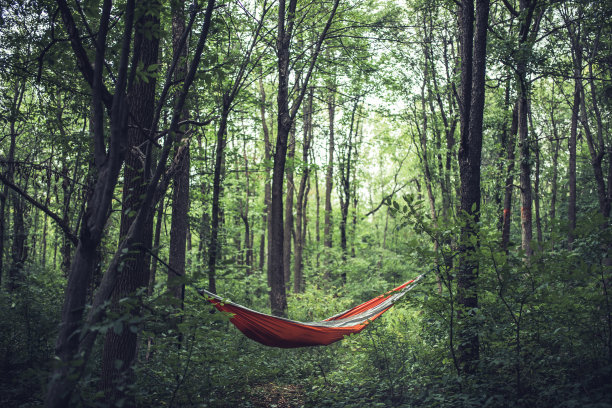 森林里的橙色吊床图片下载