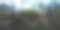 原木和北欧森林- 360 VR图片下载
