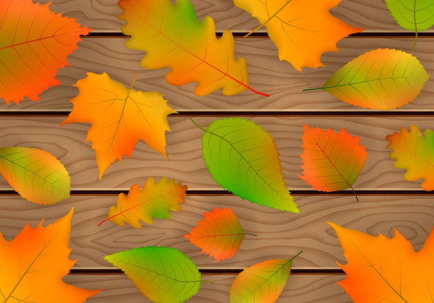 向量秋叶。图片下载