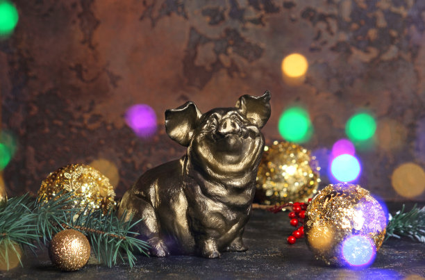 新年或圣诞节。猪或野猪在抽象的黑色背景上。散景的效果。富足、繁荣和财富倍增的概念。选择性聚焦，侧视图，拷贝空间。图片下载