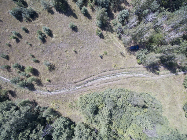 森林，从上面看图片下载